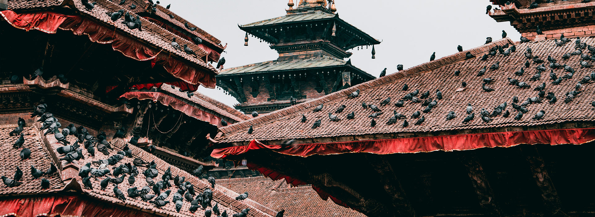 Reisen nach Nepal - Individuelle Reisen nach Nepal - Harry Kolb AG - Tourismus